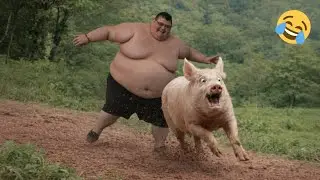 Best Fails of the Year | Try Not To Laugh🤣🤣#21