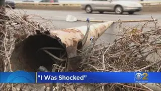 Neighbors Alarmed After Pole Falls On Lake Shore Drive