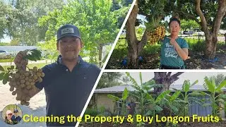 Hmong Florida Life - Clearing/Cleaning around the Property 7.20.25