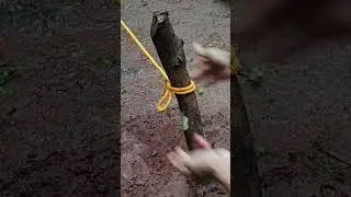 Incredible Wet Weather Hitch. Easy to Untie No Jamming!!! #knots #gardening #survival #bushcraft
