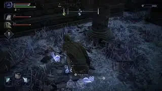 Playing Elden Ring: Nightreign (FromSoft Speedrun Simulator) | COOP | Online