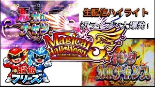 レアモード突入！？マジカルハロウィン5🎃実機配信ハイライト！！