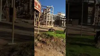 Fifo worker
