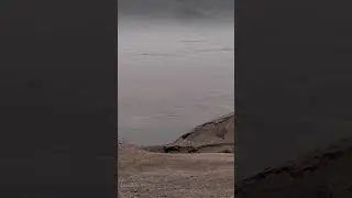 Curiosity Mars rover captured this panorama Gale Crater's rim on Augгust 25, 2025, the 4640th or sol