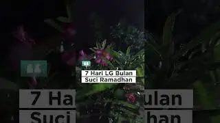 H-7