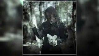 Ulmus - light/darkness (2024) (Full Album)