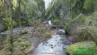 2026-01 Oneonta creek in Columbia river Gorge, Oregon, USA