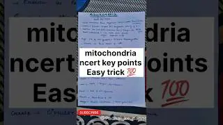 🎯