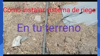 Cómo instalar un sistema de riego para tu terreno