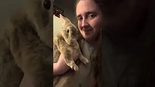 Night routine as a bunmom✨