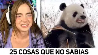 Staryuuki Reacciona a 25 COSAS QUE NO SABIAS - XpressTV