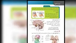 درس علوم الجهاز العصبي(3)🧠💯
