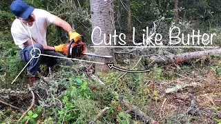 Off Grid Chainsaw Refuel Tips & Hacks | Solo Cabin Build In The Woods #chainsaw