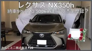 【レクサスNX 350h】納車9ヶ月13,500km走行してわかったスゴイところ、イマイチなところ