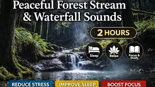 Peaceful Forest Stream & Waterfall Sounds | Deep Sleep, Relax, Study | 1080p 60FPS