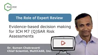 How does evidence-based decision making assist Expert Review?
