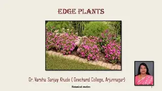 Edge plants | Botanical studies