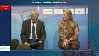 Panel. Increasing the momentum for zero-emissions shipping