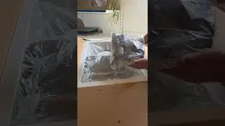 Кухонная мойка Asil As 380