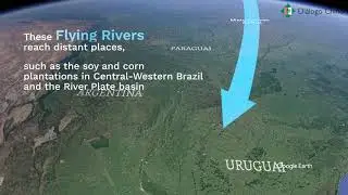 Agro-suicide: Amazon deforestation dries up Brazil's 'flying rivers'