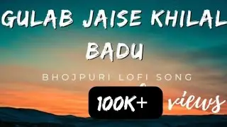 Gulab jaise khilal badu lofi version ।। Heroine ।। WHO DESERVS।। #neelkamalsingh। slowed+Reverb