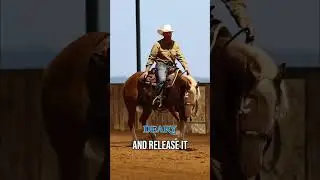 Fixing Front Feet Dragging with Simple Steps #dearyperformancehorses #reining #horse #training