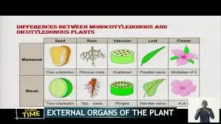 REB | S1 | Biology | Unit 3 | Lesson: External Organs of  Plants