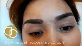 Permanent Makeup Eyebrows Emrboidery by Angelina Cheah #1