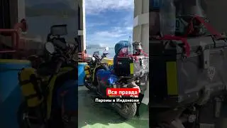 Что вас ждет на паромах индонезии? #shorts