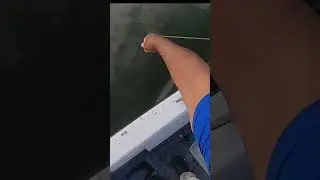 Catching Crabs In New Jersey