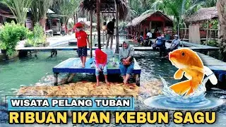 WISATA PELANG TUBAN TERBARU, KEINDAHAN ALAM DI KEBUN SAGU - Cak Hanto