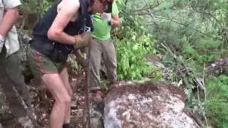 2015 Hard Core, Hump Mountain, TN/NC 5/17/15 (Appalachian Trail Maintenance)
