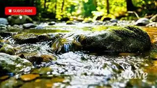 Natural River Flow | Healing Nature Ambience.