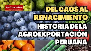 Del caos al renacimiento: la historia de éxito de la agroexportación peruana