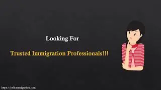 Trusted Immigration Consultants in Dubai - ICCRC Licensed