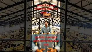 Jobs for Bangladeshis at New Zealand Dairy Farms! 🇳🇿🐄