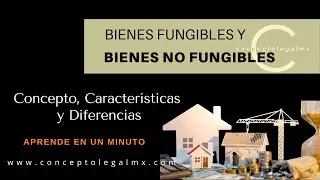 BIENES FUNGIBLES Y NO FUNGIBLES || CONCEPTO, CARACTER&Iacute;STICAS Y DIFERENCIAS. EXPLICACI&Oacute;N DE LA CORTE.