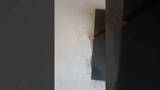 Портрет пары в стиле аниме | Рисунок карандашом и цветными карандашами | Увлекательное видео о тв...