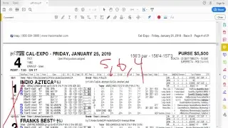 Mr. Trifecta's Harness Racing Handicapping 101