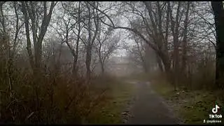 Tree Steel Soul nature winter