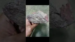 METEORITE COLLECTOR.