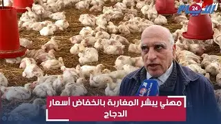 هام للمغاربة.. إنخفاض في أسعار الدجاج ومهني يحذر المواطنين من