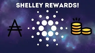 How To Check Cardano Staking Rewards - ADA Passive Income!
