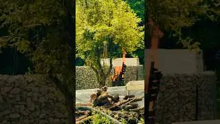 How I Made a Gabion Foundation for a Yurt #garden #gabion #youtube #yurt #construction #gabionwall %
