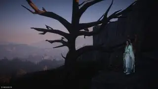 Go Where the Voice Leads: Follow the Voice | Where Winds Meet PS5
