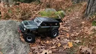 Rgt Pro Runner (EX86130)  With pro-line Hyrax G8 tires