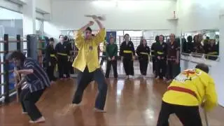 Un cours de Tay Son Vo Dao avec Maître Chau Phan Toan
