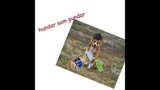 hundar som pundar ft. Dj frankboi69420