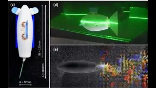 Finbot: Fish-like swimming and wake structures in an autonomous robot (BioBio 2021)