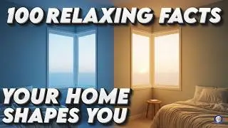 Human Behavior : how your home layout changes your personality | The Most Relaxing Facts